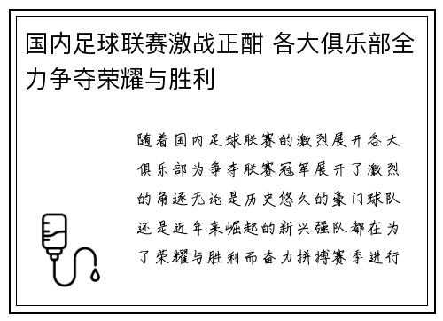 国内足球联赛激战正酣 各大俱乐部全力争夺荣耀与胜利
