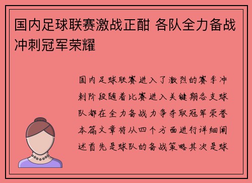 国内足球联赛激战正酣 各队全力备战冲刺冠军荣耀