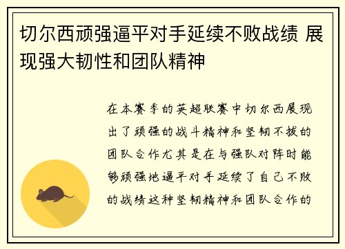切尔西顽强逼平对手延续不败战绩 展现强大韧性和团队精神